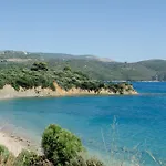 Thea Finikounda