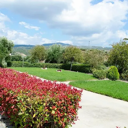Apartment Thea Finikounda